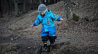 Waldzwerge für Kinder von 1 - 3 Jahre
